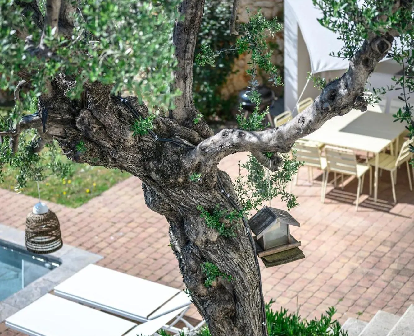 Villa Shangrila, Charming House With Sea View, Swimming Pool And Garden Nr Monaco And Italy Roquebrune-Cap-Martin France